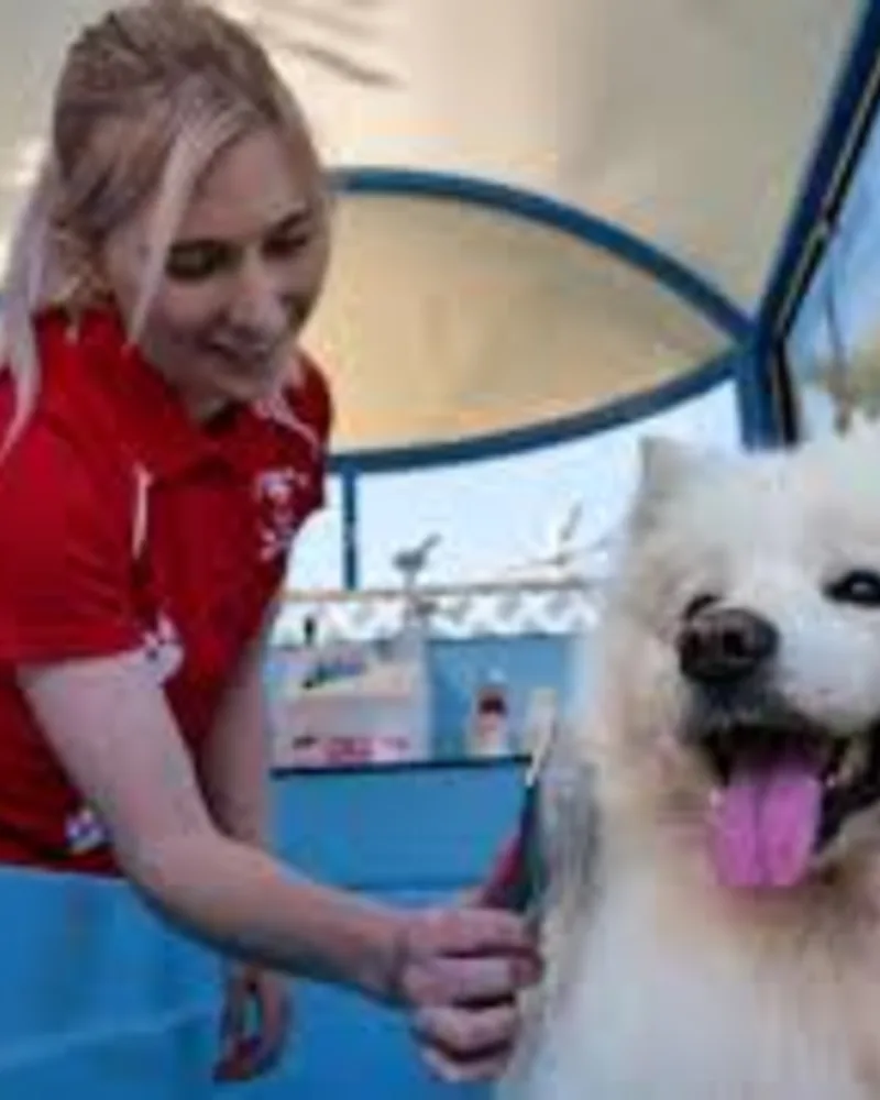 Mobile dog washer business owner